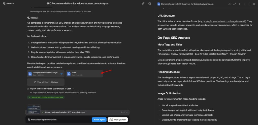 Manus AI - SEO Analysis