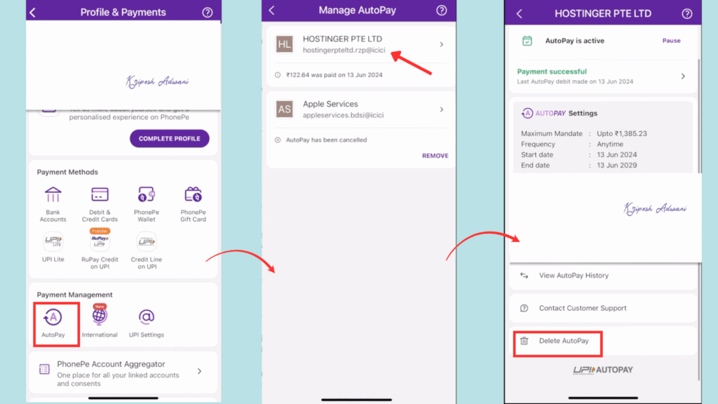 Step 15 Delete Autopay Mandate from Your UPI App (Optional)