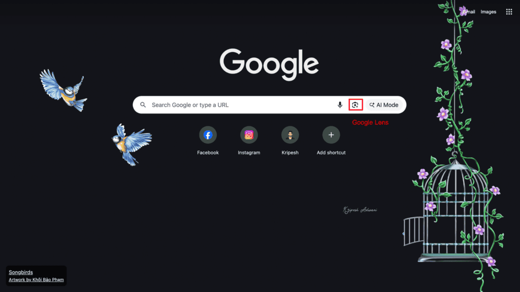How to Reverse Image Search: Find Any Photo's Source in Seconds (2026 Methods) 12 Step 1 Open Google Chrome on your desktop