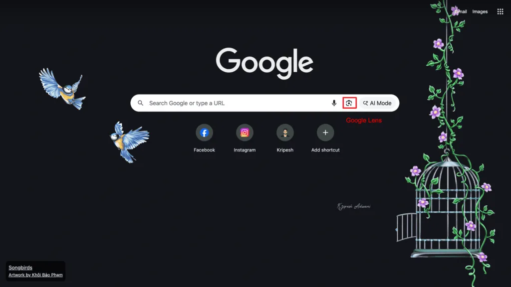 Step 1 Open Google Chrome on your desktop
