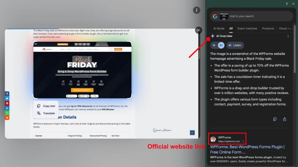 Step 3 Google Lens Search Results
