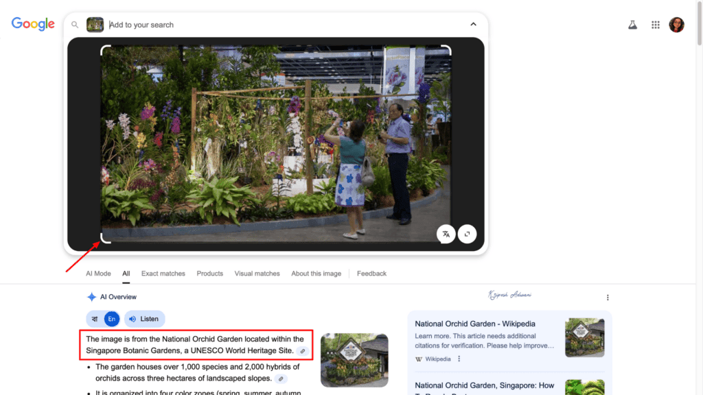 How to Reverse Image Search: Find Any Photo's Source in Seconds (2026 Methods) 14 Step 3 Google Lens results
