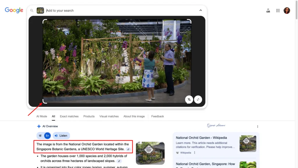 Step 3 Google Lens results
