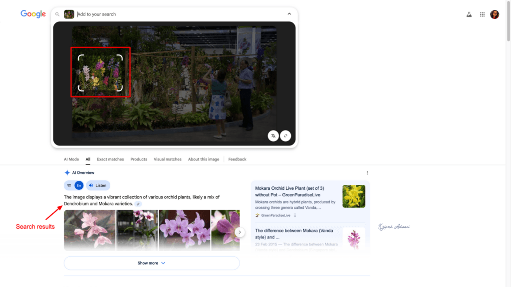 How to Reverse Image Search: Find Any Photo's Source in Seconds (2026 Methods) 15 Step 4 In-depth reverse image search