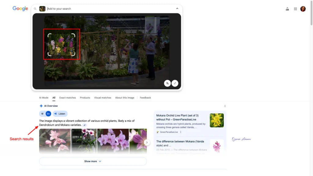 Step 4 In-depth reverse image search
