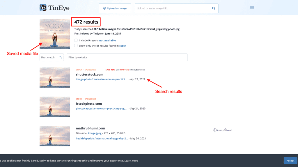 How to Reverse Image Search: Find Any Photo's Source in Seconds (2026 Methods) 45 TinEye search results
