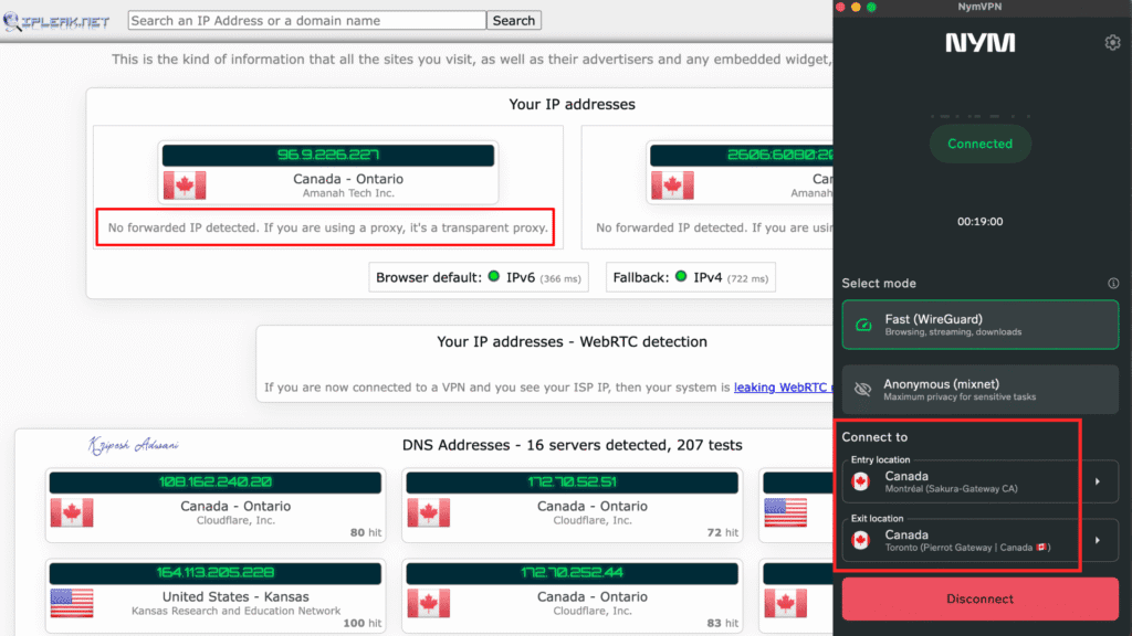 DNS Leak Test
