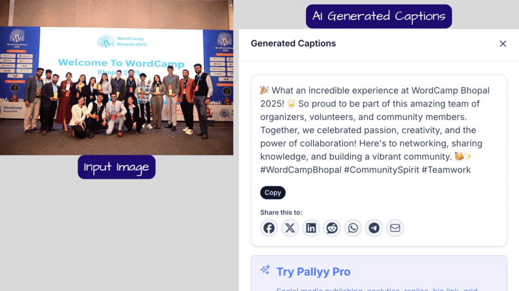 pallyy-ai-instagram-caption-generator-output-1
