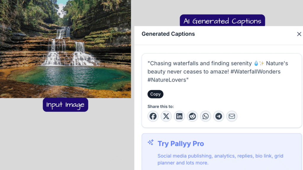 pallyy-ai-instagram-caption-generator-output-2

